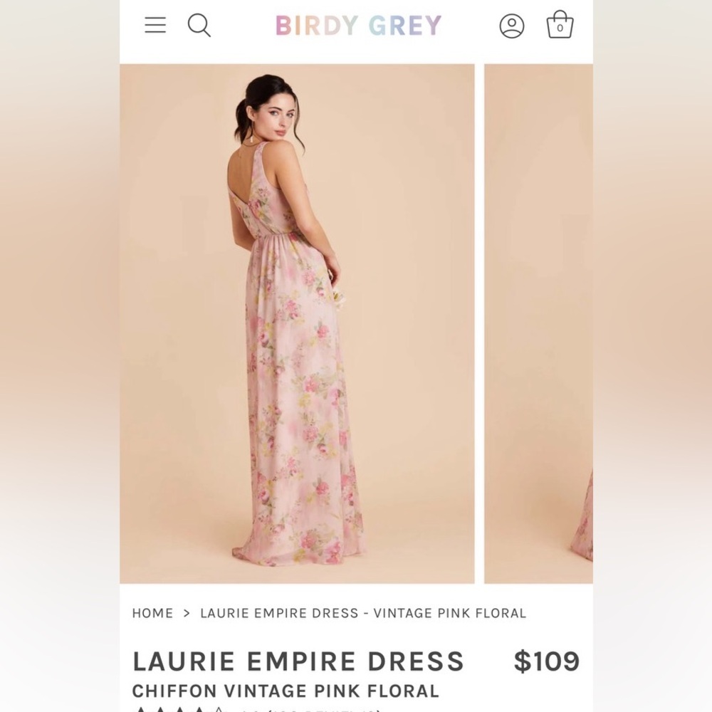 Birdy Grey Laurie Chiffon Bridesmaid Dress